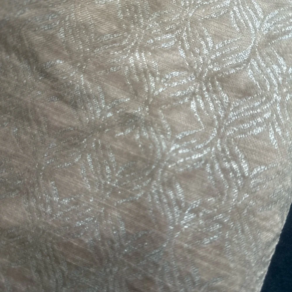 Pair of West Elm Shams